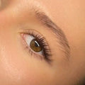 Classic Eyelash Extensions